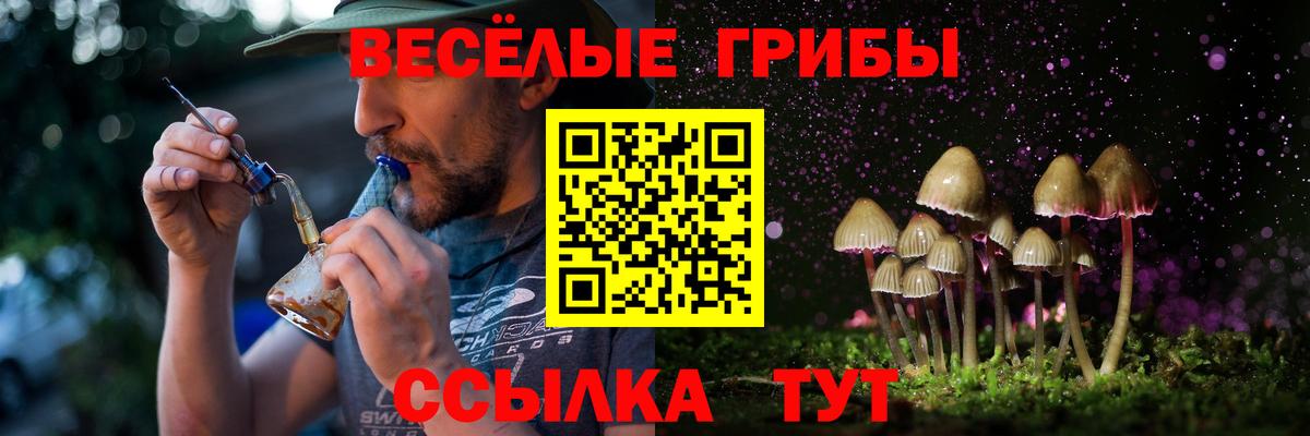 Псилоцибиновые грибы Magic Shrooms  Вход с VPN  Псилоцибиновые грибы Psilocybine cubensis  Троицк 